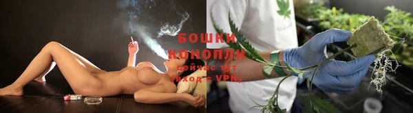 apvp Богородск