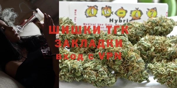 дживик Бородино