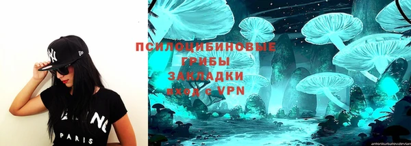 дживик Бородино