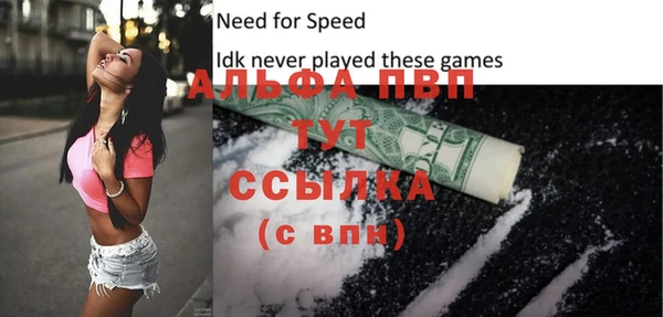 дживик Бородино